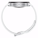 Часы Samsung Galaxy Watch 8 44mm Silver 250_100_496189
